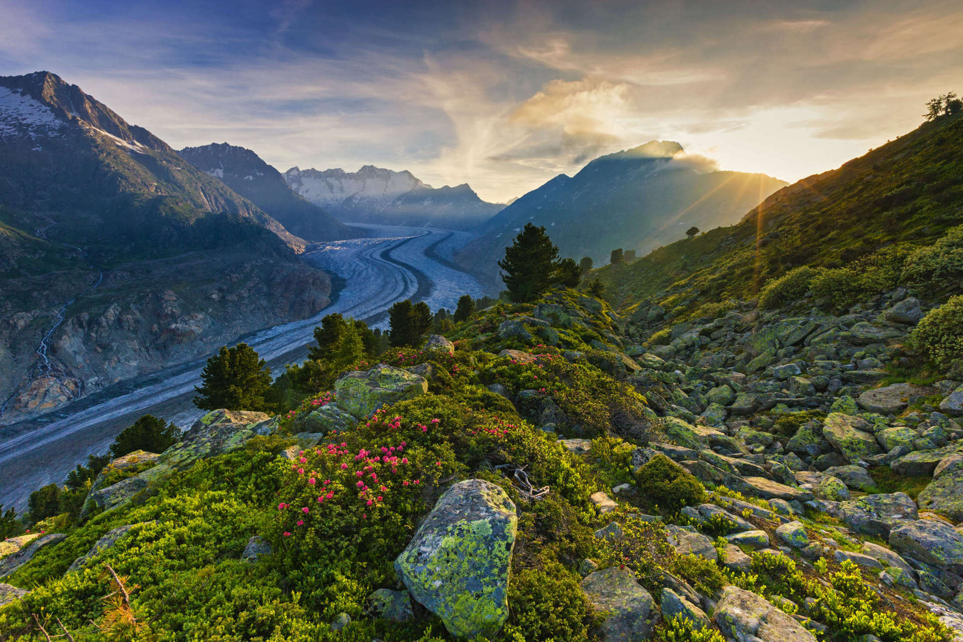 Alpine Peaks, Passes and Wine 1 - Alpine Passes - Swiss