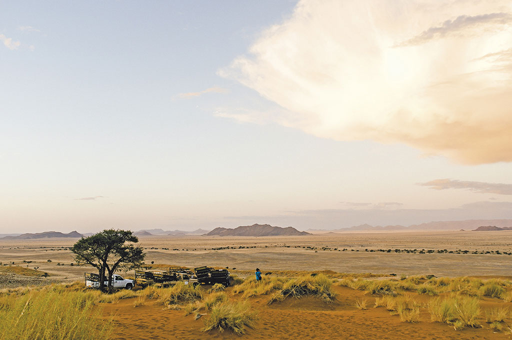 The African Explorer — Image 1